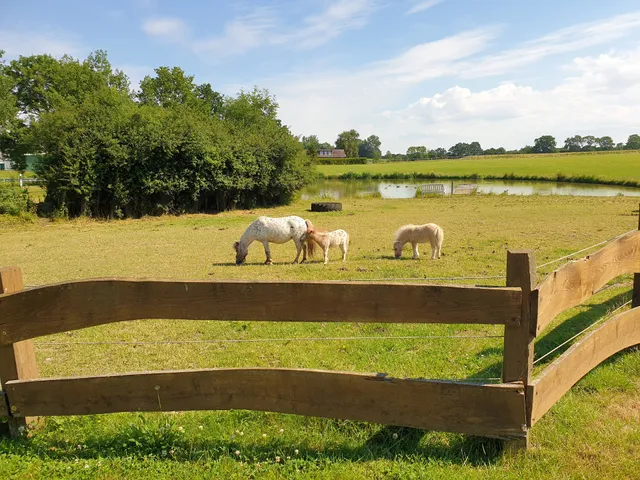 Ferienhof Kindt Anna Kindt