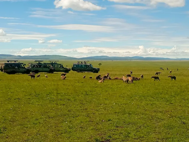 Maasai Mara
