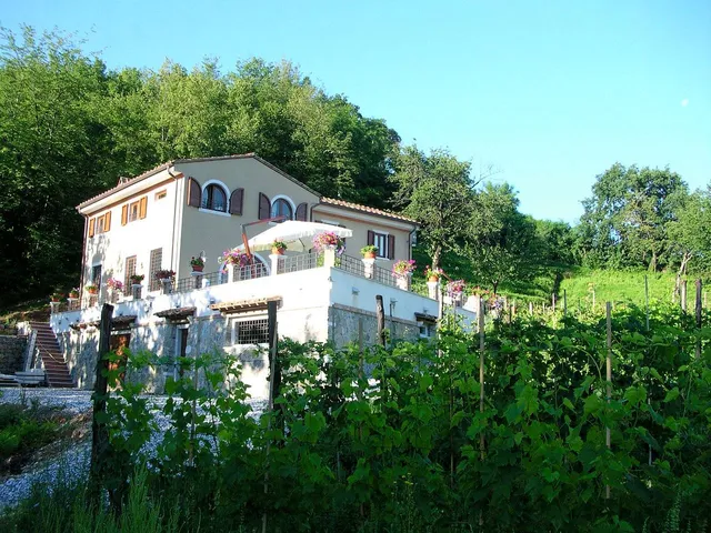 B&B Galleria Ars Apua