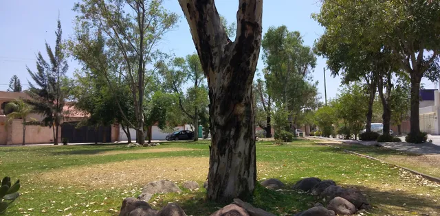 Lomas 4ta sección Park