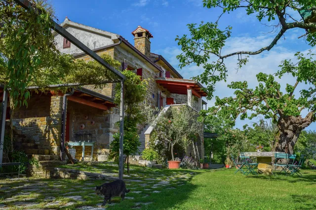 Casa Maršić ~ Extra Virgin Olive Oil & Apartment