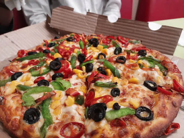 Domino's Pizza | New Adarsh Nagar, Durg