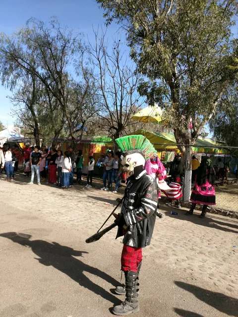 Miscelanea Los Ponchos