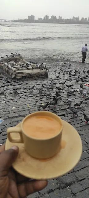 Shri Krishna Pure Veg Restaurant