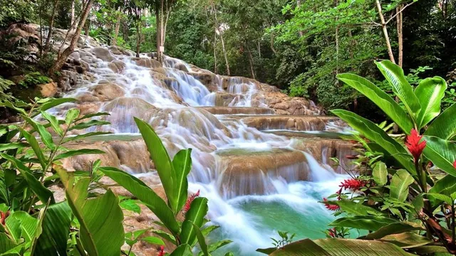 Dunns River Falls Tours
