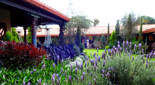 El Parisino • El Portón