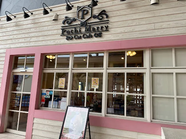 Puchi Marry