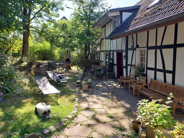 Ferienhaus Haus Nr.9