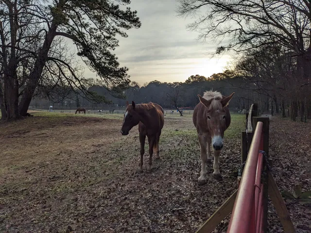 Little Creek Farm Conservancy, Inc.