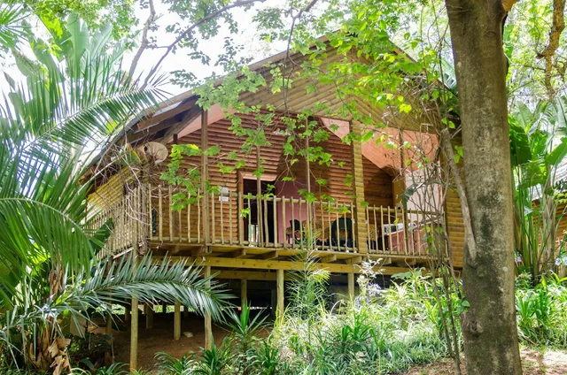 Hippo Waterfront Lodge & Camping