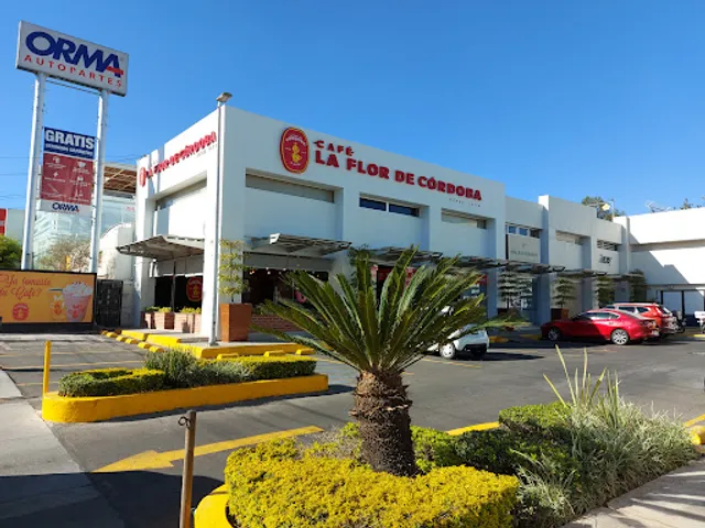 Café La Flor de Córdoba