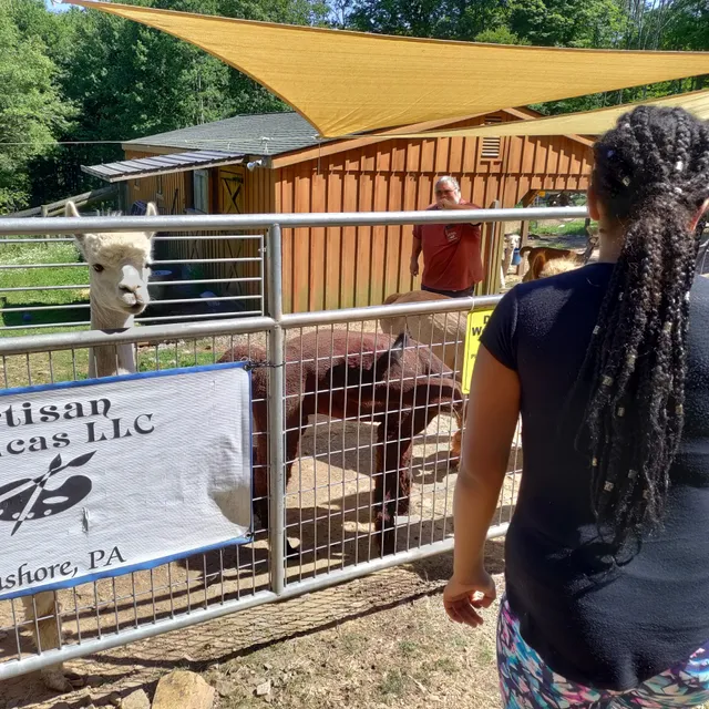 Artisan Alpacas LLC