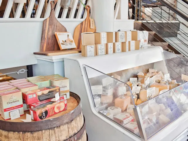 The Girl and The Vine