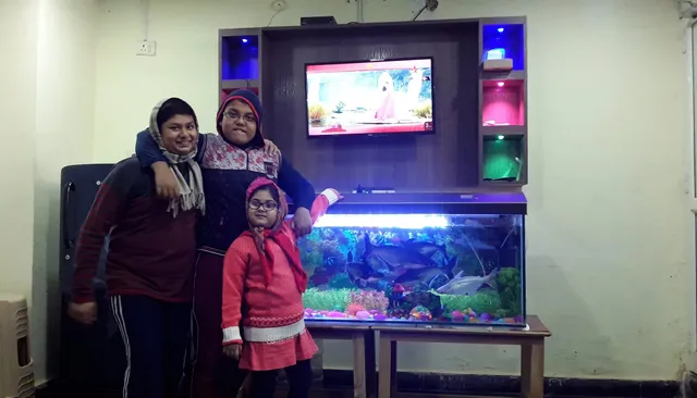 paradise inn guest house