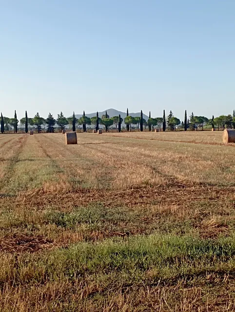 FATTORIA LA PRINCIPINA