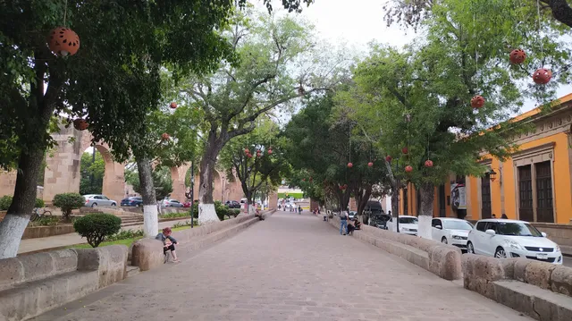 Calzada Fray Antonio