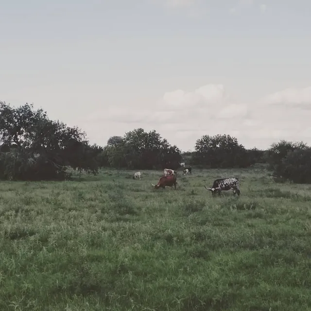 The Reserve at Dancing Elk