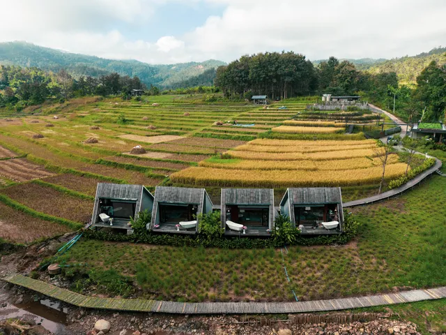 อมลอง โฮมนอน