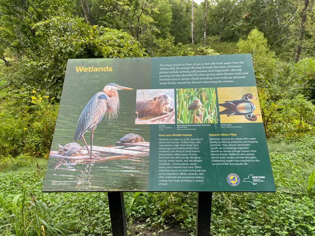 The Empire State Trail NivervilleTrailhead