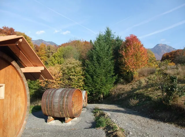 Domaine du Grand Cellier