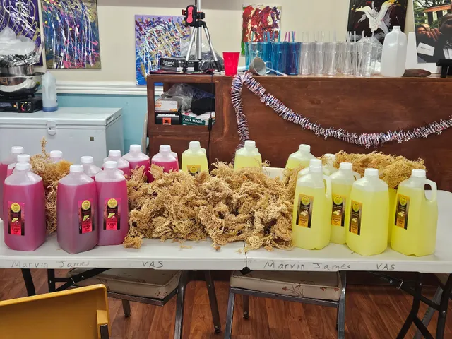 Seamoss King and Healthy People