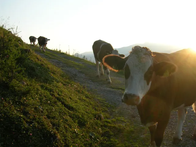 Bio-Ferienhof Kreilgut