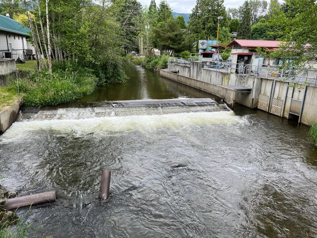 Issaquah State Salmon Hatchery
