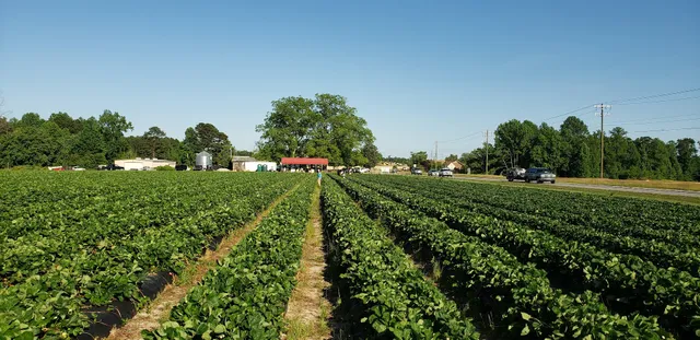Porter Farms & Nursery Farm Market