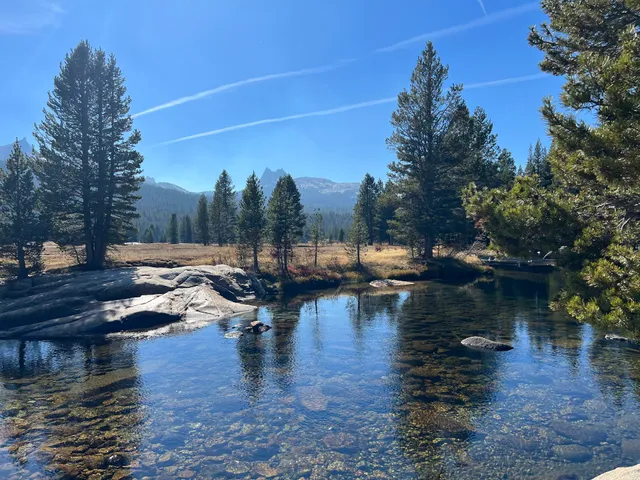 Tuolumne Meadows Footbridge