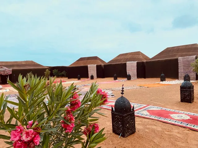 Sahara Wellness Camp