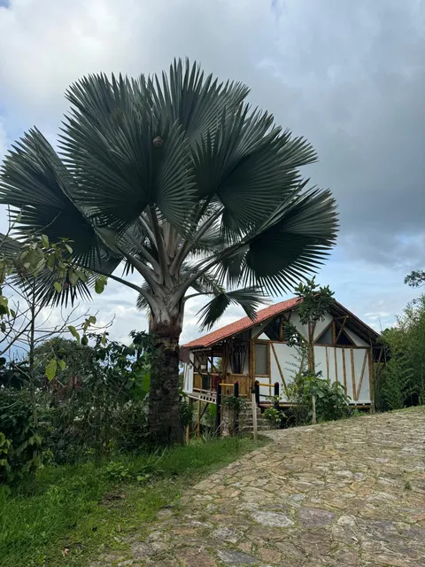 Finca Santa Bárbara