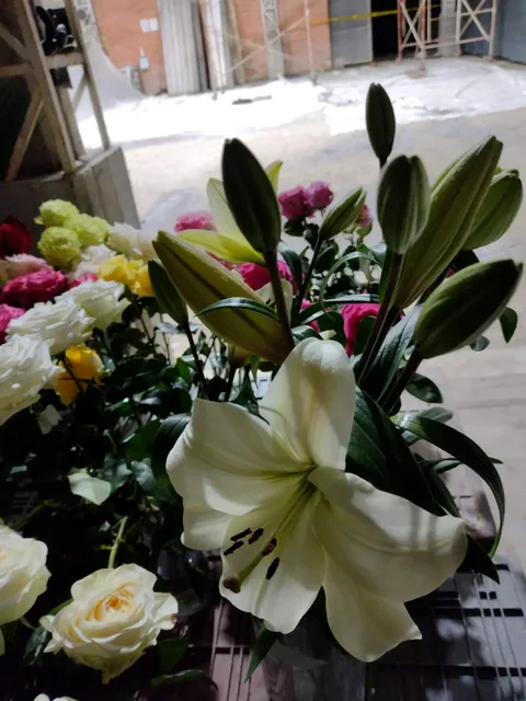 El Milagro de las Flores