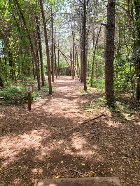 Renaissance Disc Golf Park - Gold