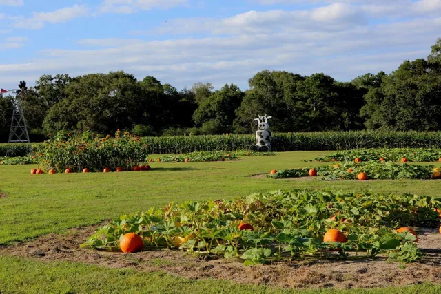 Middleton Dairy Farm