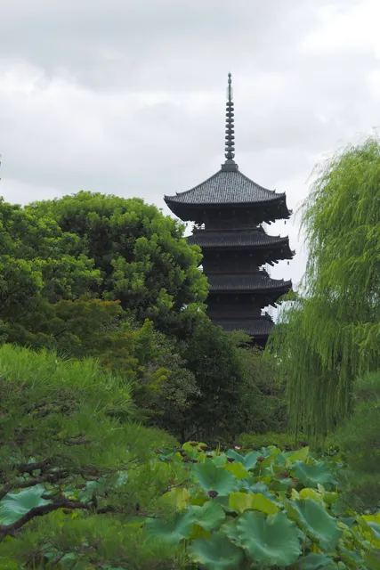 Willow Tree of Ono-no-Tofu