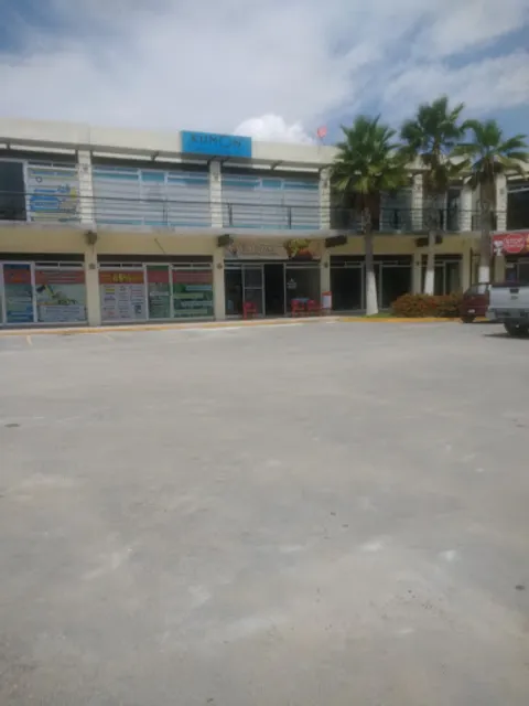 El Mar - La Mejor cocina de Mazatlan