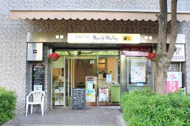 うさぎカフェ Rin＆Marcy（リン＆マーシィー）