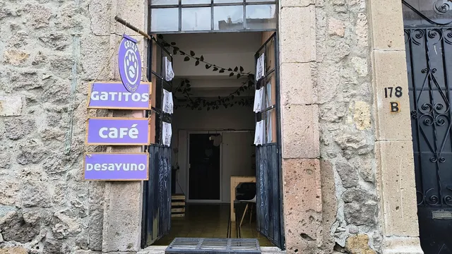 CATZY Cat Café