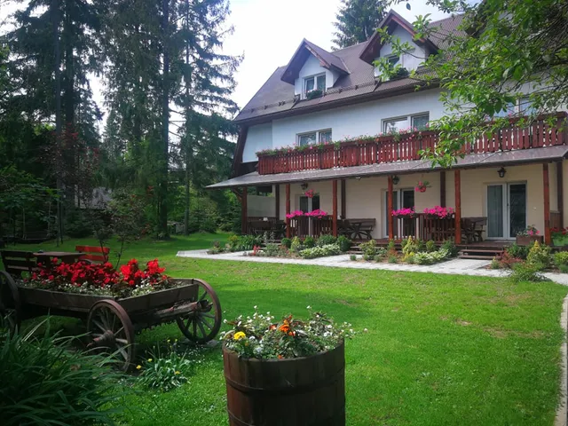 Za Borem. Guest rooms