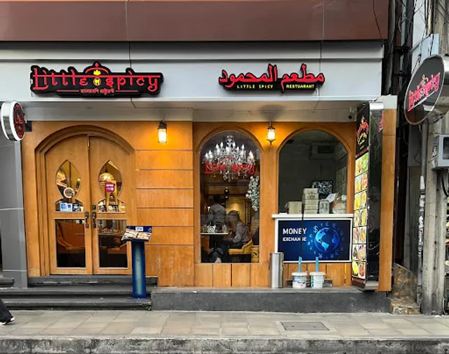 Little Spicy Restaurant (Halal)