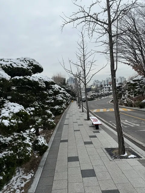 Korea University College of Medicine, Seoul