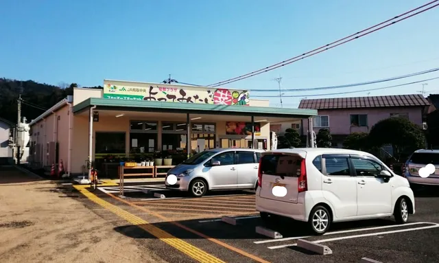 旬鮮プラザ よってみたい菜