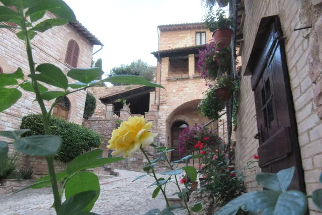 Il Giardino del Gallo