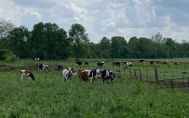 Blue River Natural Foods