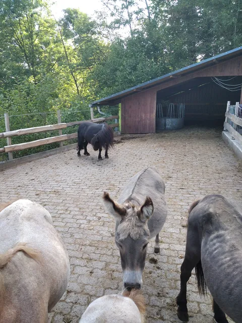 Alter Hof Mörlenbach