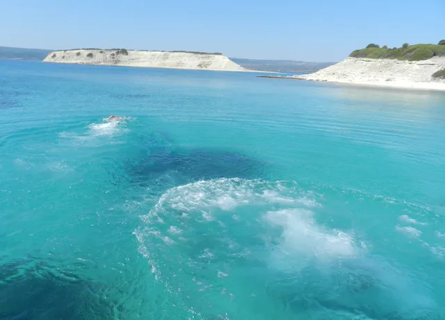 Fotis Apartments & House Lesvos