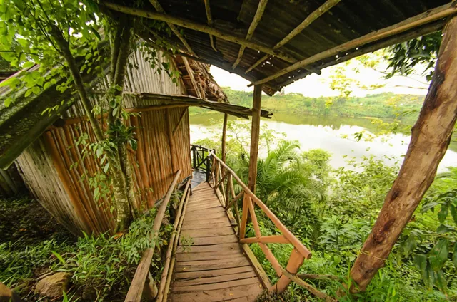 Dave The Cave Eco Lodge And Campsite