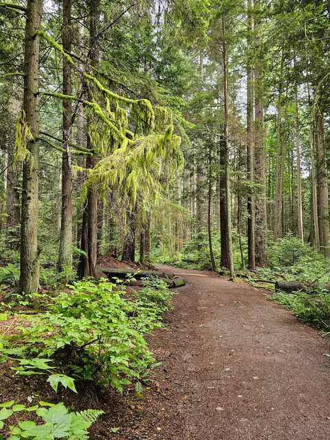 Salish Trail