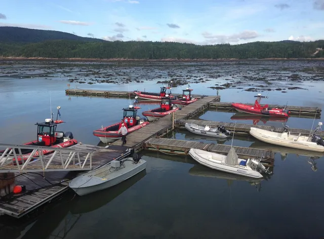 Studio Motel The Cruise