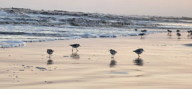 Grand Isle Community Center